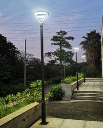 Decorative street lighting in market area